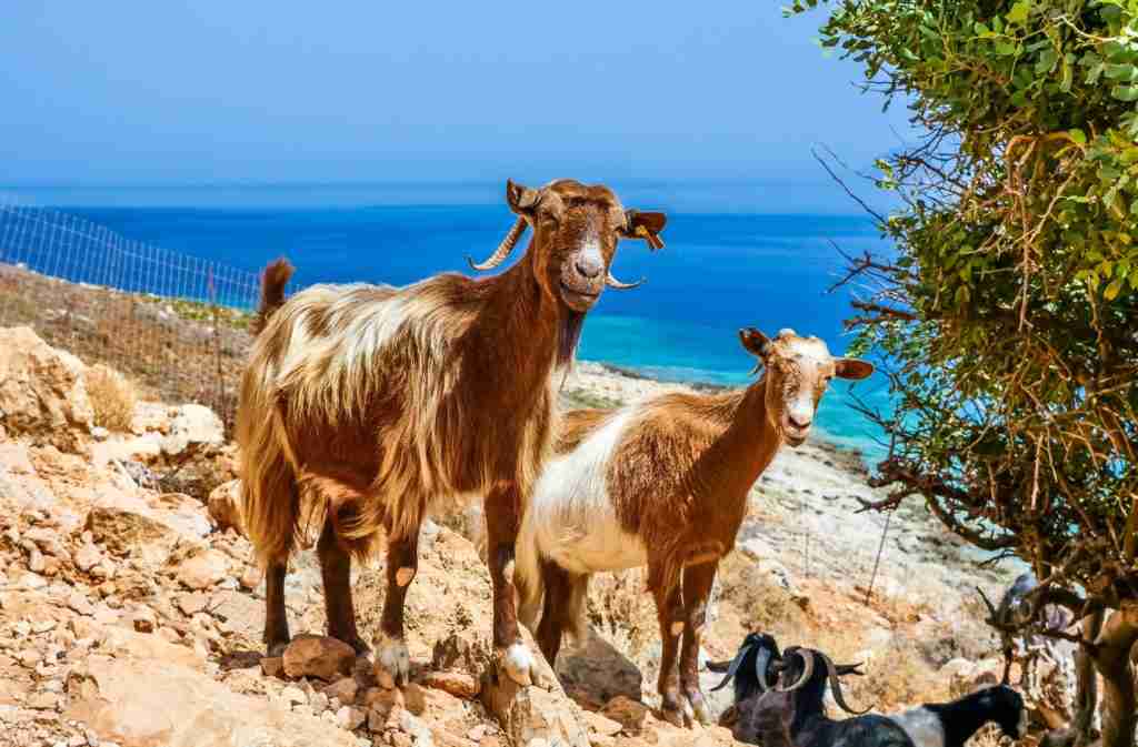 Greek Beaches Balos Crete